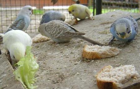 c'est l'heur de mange est c'est pas la pien de parler lol